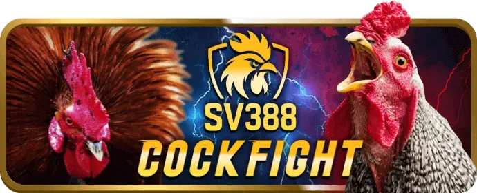 Truy cập trang chủ Bong88 trên Android